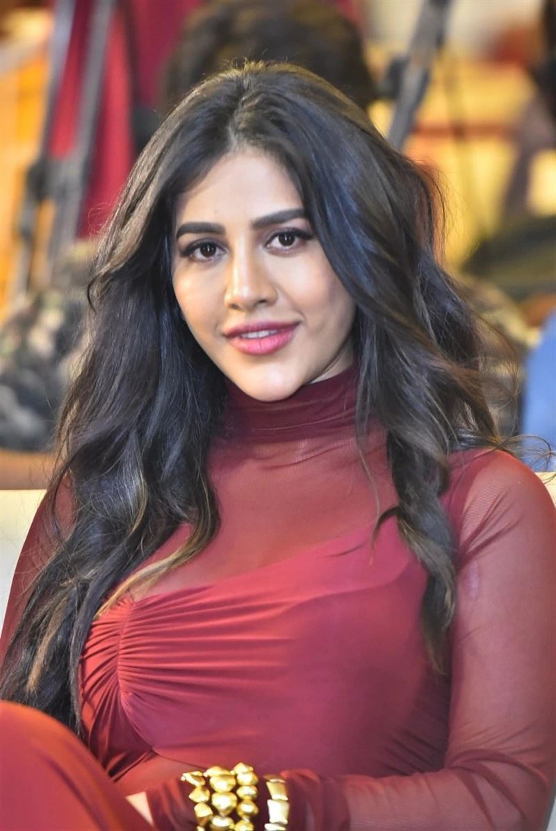 Telugu Actress Nabha Natesh in Maroon Dress